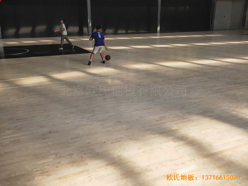 南陽驕陽體育籃球俱樂部體育地板鋪裝案例3